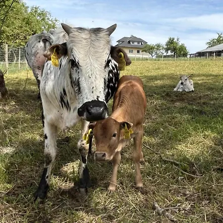 Silvia * Sankt Kanzian am Klopeiner See