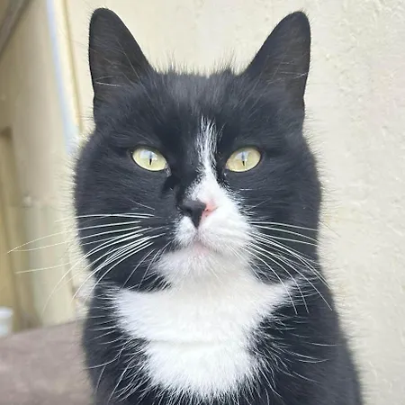 Silvia Daire Sankt Kanzian am Klopeiner See