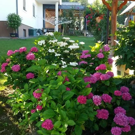 Silvia * Sankt Kanzian am Klopeiner See